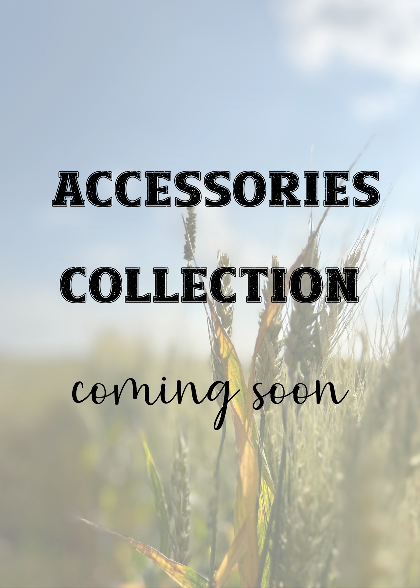 Accessories Collection