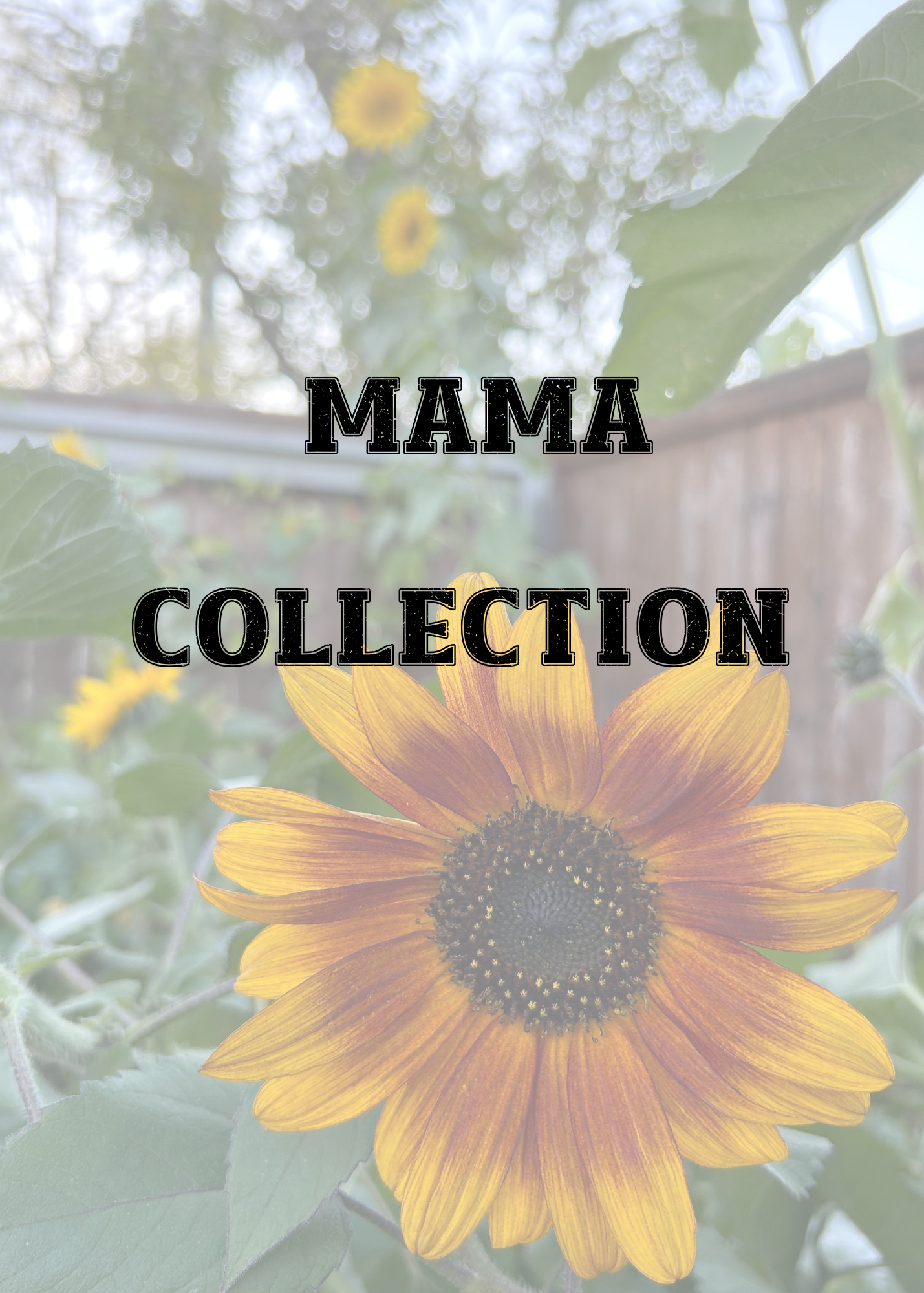 Mama Collection